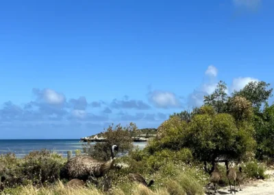 Marion Bay holiday rentals Yorke peninsular accommodation