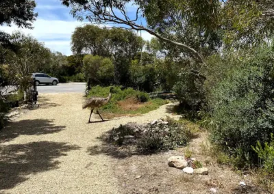 Marion Bay holiday rentals Yorke peninsular accommodation