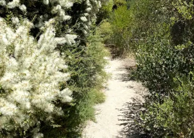 Marion Bay holiday rentals Yorke peninsular accommodation